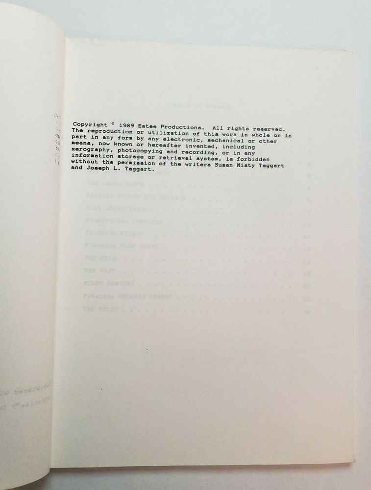 FUNATICS / Misty Stewart-Taggart 1989 Unproduced TV Script, Pilot Presentation