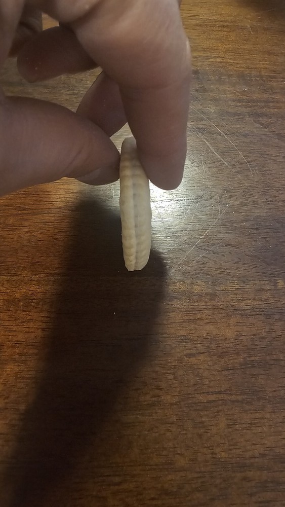 Factory Stacked Ritz Cracker