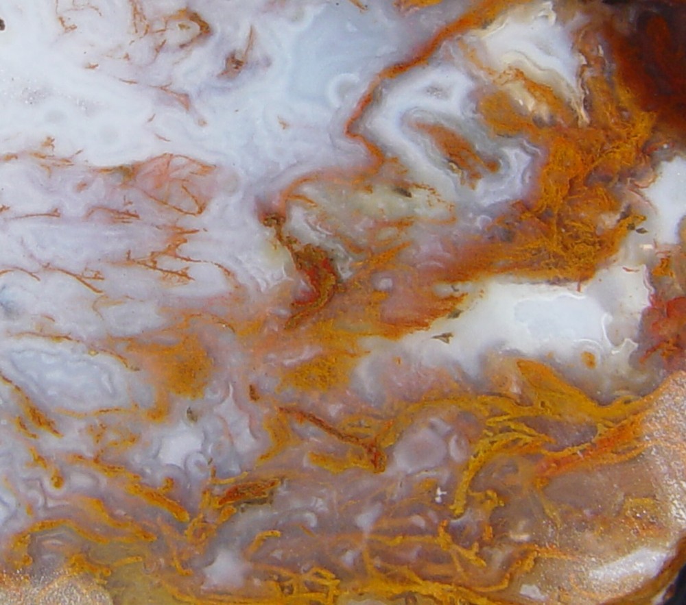 Gold Moss Agate Lapidary Slab 1486