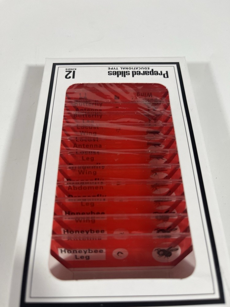 Prepared Microscope Slides Lot Educational Type