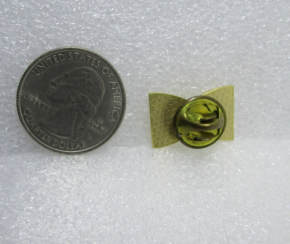 Partnership For Survival Pin