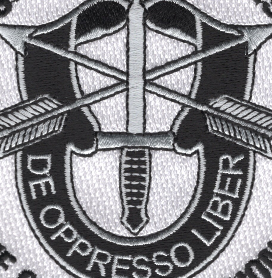 Special Forces The Quiet Professional Patch