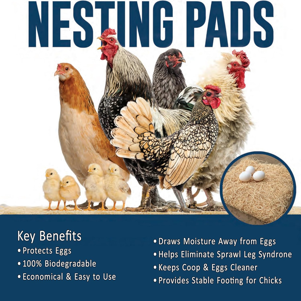 Nesting Pads for Chicken Coop Accessories - Aspen Bedding for Chicken Nesting Bo