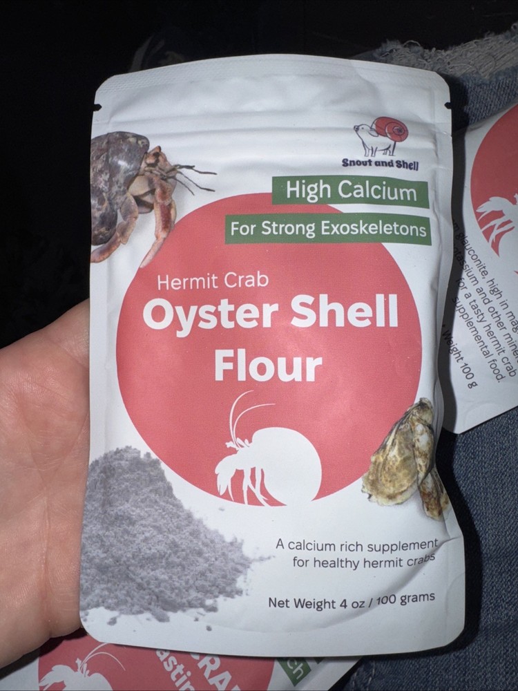 Snout and Shell Hermit Crab Greensand, Worm Casting, Oyster Shell