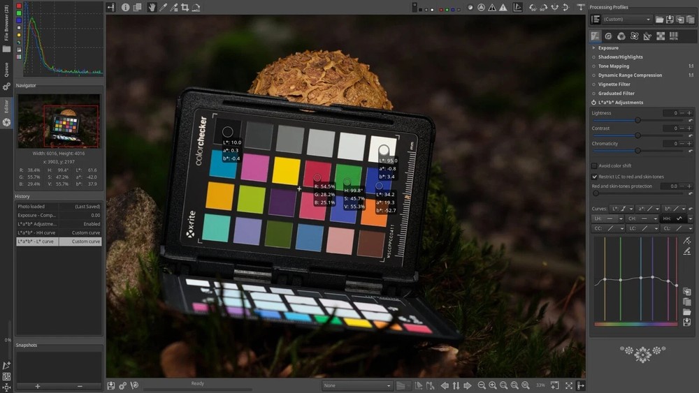 Raw Therapee Photo Editing Software 2026, RAW Image Editor for Windows USB