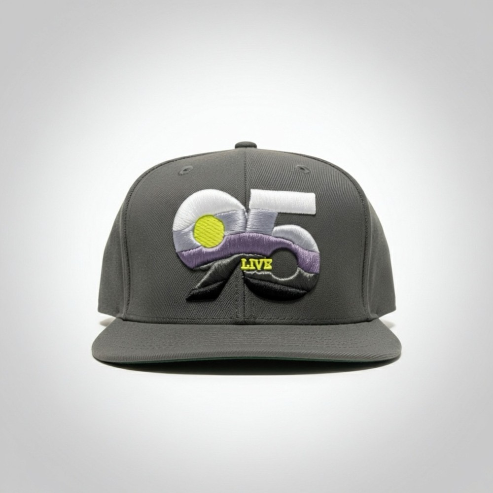 Dark Grey 95 Snapback Hat For Air Max