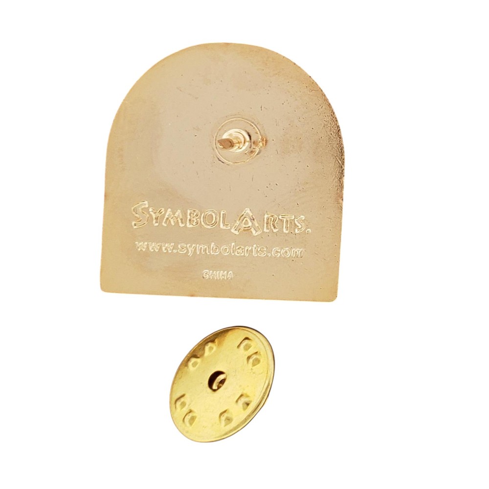 Arizona Nurses Association Lapel Pin 1912-2012 Centennial