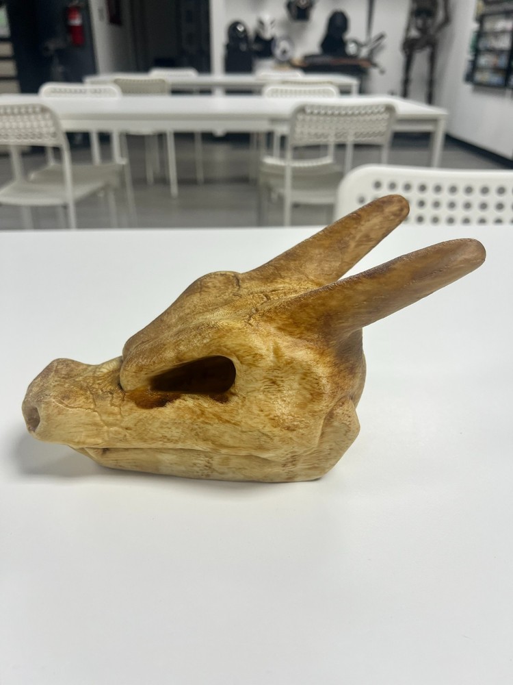 3D Printed Charizard Skull