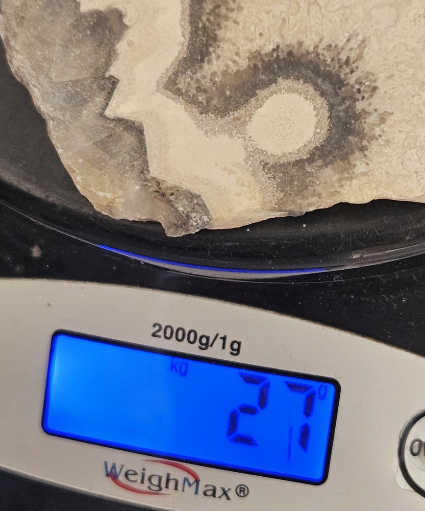 Unknown Interesting Lapidary Slab 27 Grams