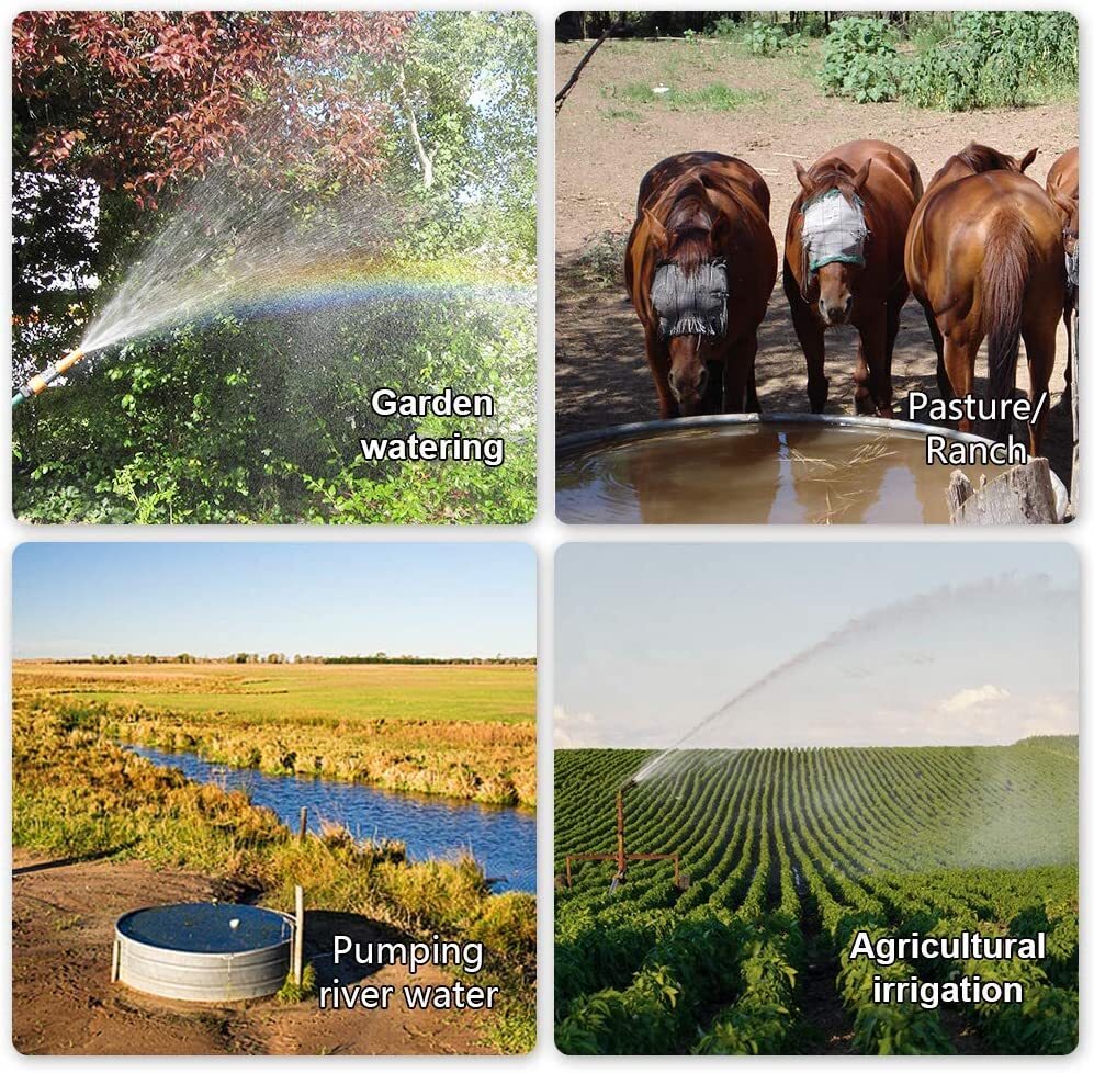 12V DC Submersible Deep Well Pump 3.2GPM 230ft for Irrigation ‎Stainless Steel