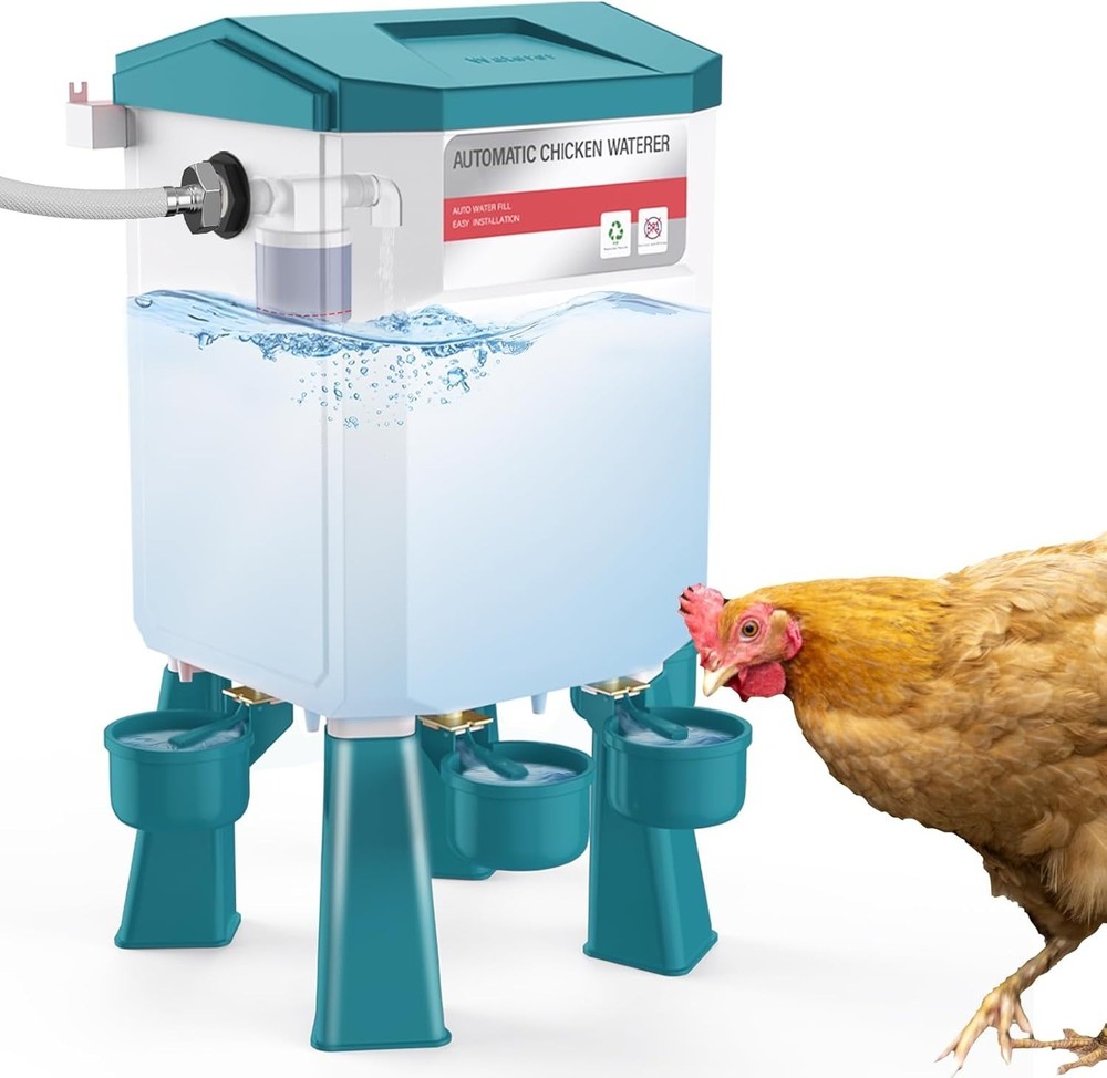 Automatic Chicken Waterer Large Chicken Waterer System Pou