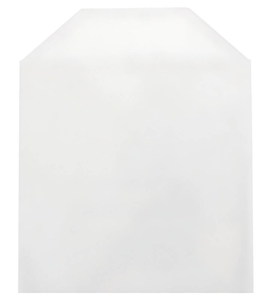 500 CPP Clear Plastic Sleeve with Flap - Fits Blu-ray Case Artwork Only 2-3 DAYS