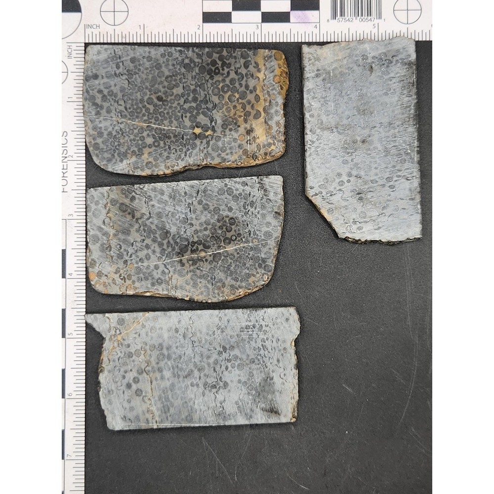 Chinese Oolite Slabs (unpolished)