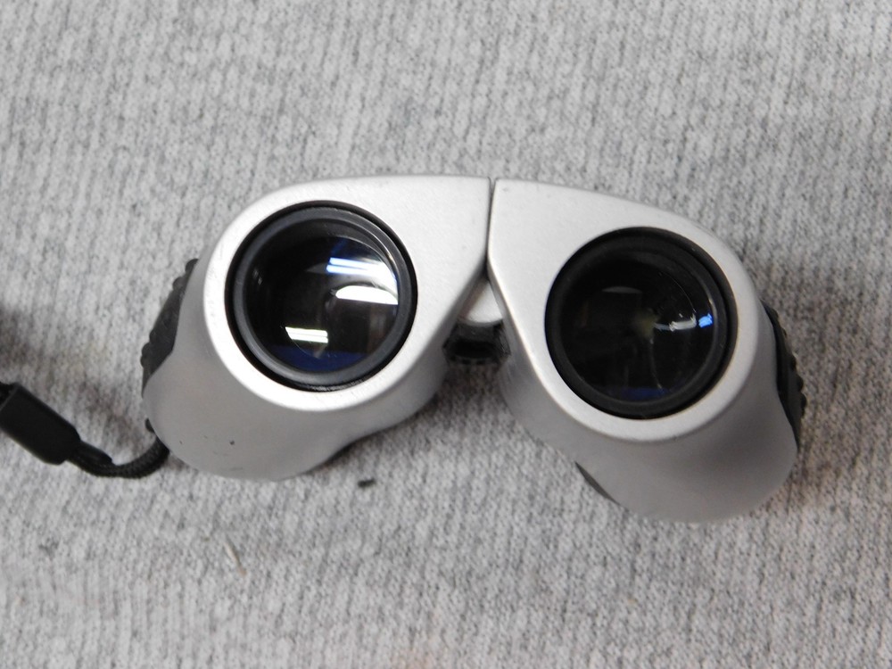 Samsung Staron Surfaces Compact Binoculars 8x Silver Lightweight AR Coating