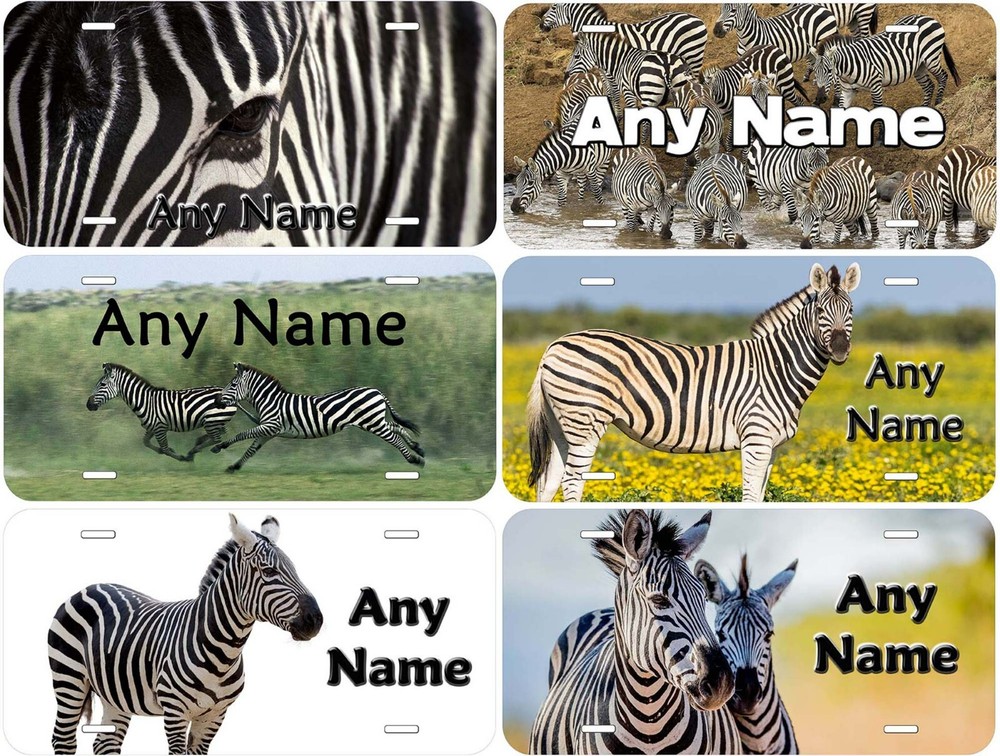 Zebra Any Name Personalized Novelty Car License Plate