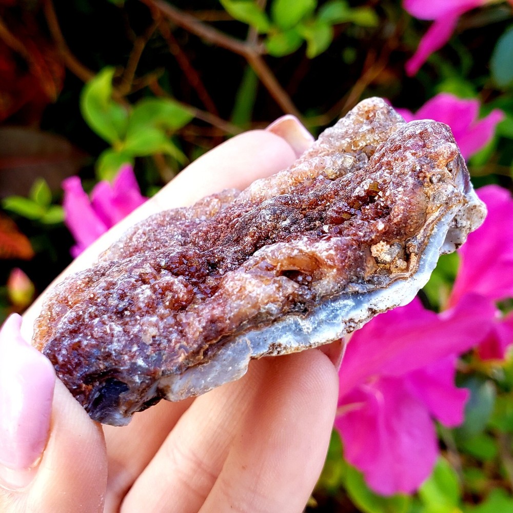 Fossilized Agate shell Cluster druzy natural crystal healing gemstone - #13A