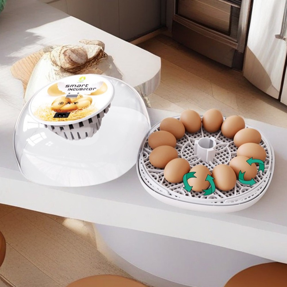 Incubators for Hatching Eggs 12 Eggs with Automatic & Humidity Control