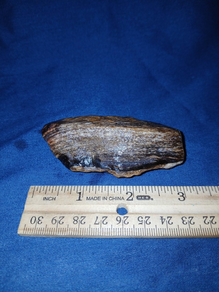3 oz Agatized Petrified Wood