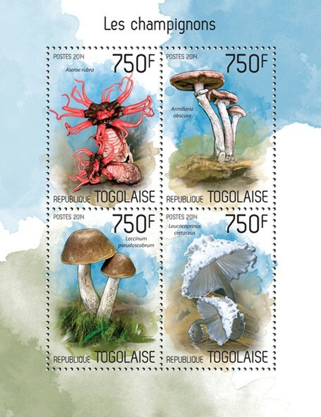 2014 TOGO MNH. MUSHROOMS   |  Y&T Code: 3840-3843  |  Michel Code: 5677-5680