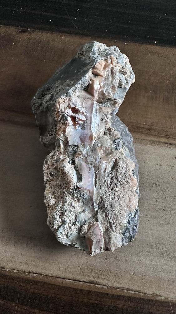 Opalized Petrified Wood For Display Specimen Rough Navada USA