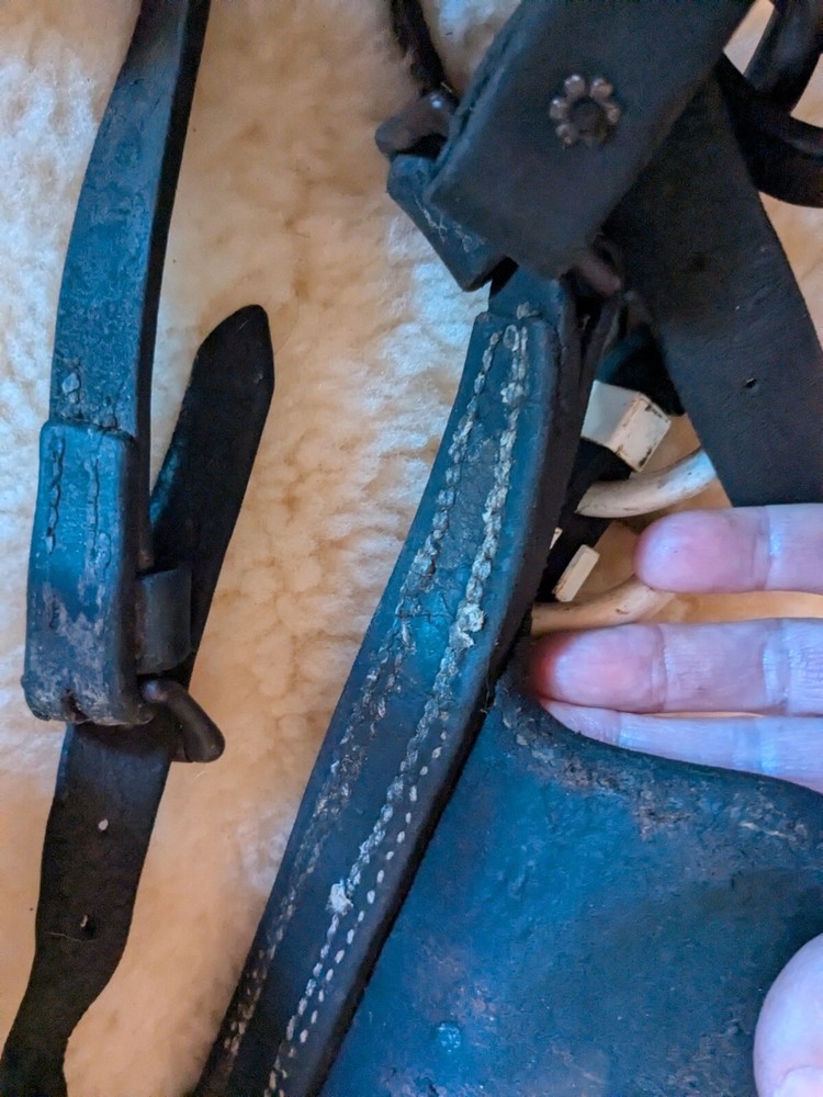 Vintage Driving Bridle