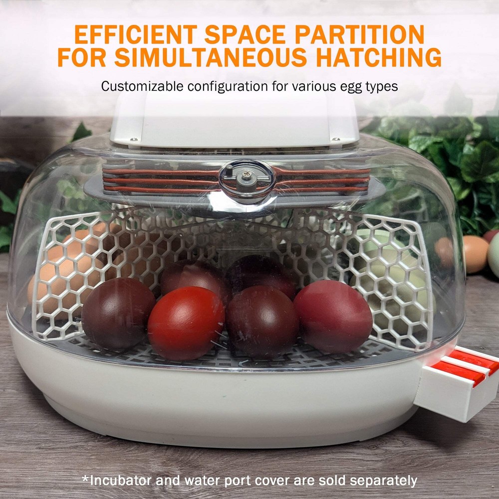 Nurture Right 360 Hatch Divider