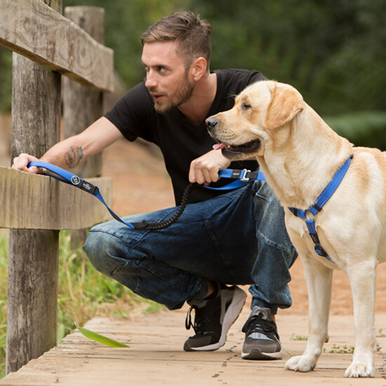 Rogz Shock Absorbing Reflective Control Long Leash