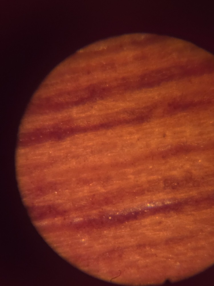 Tasco 30X Illuminated Mircoscope Red