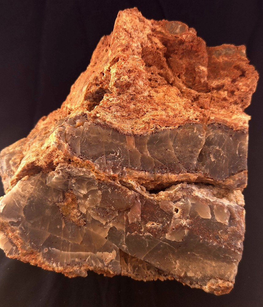Az Rainbow Petrified Wood