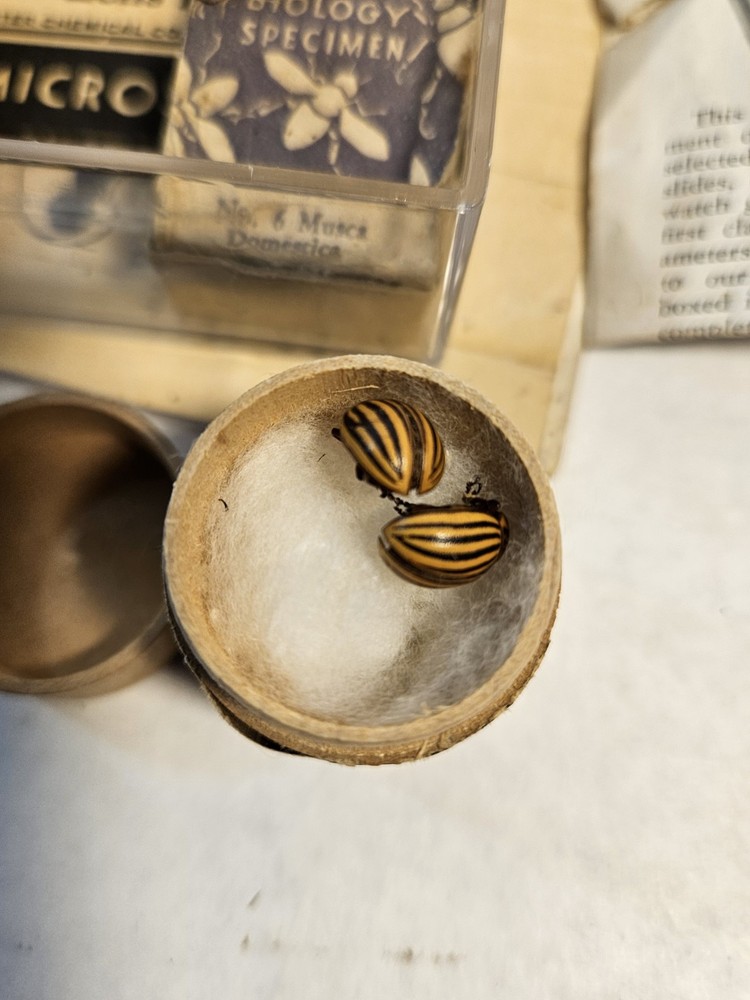 Vtg Sciencecraft Microscope Lab Accessory Kit 1935-1960