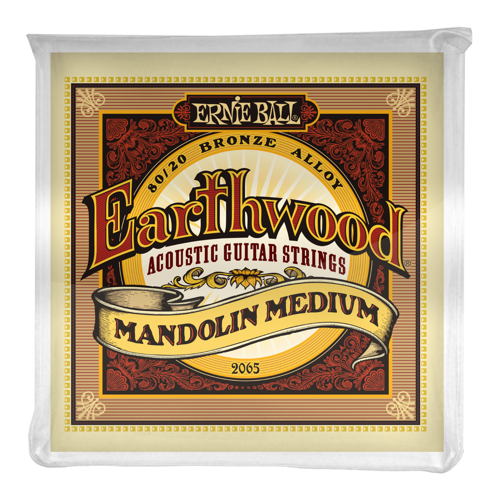 Ernie Ball Earthwood Mandolin Medium Loop End 80/20 Bronze Strings P02065