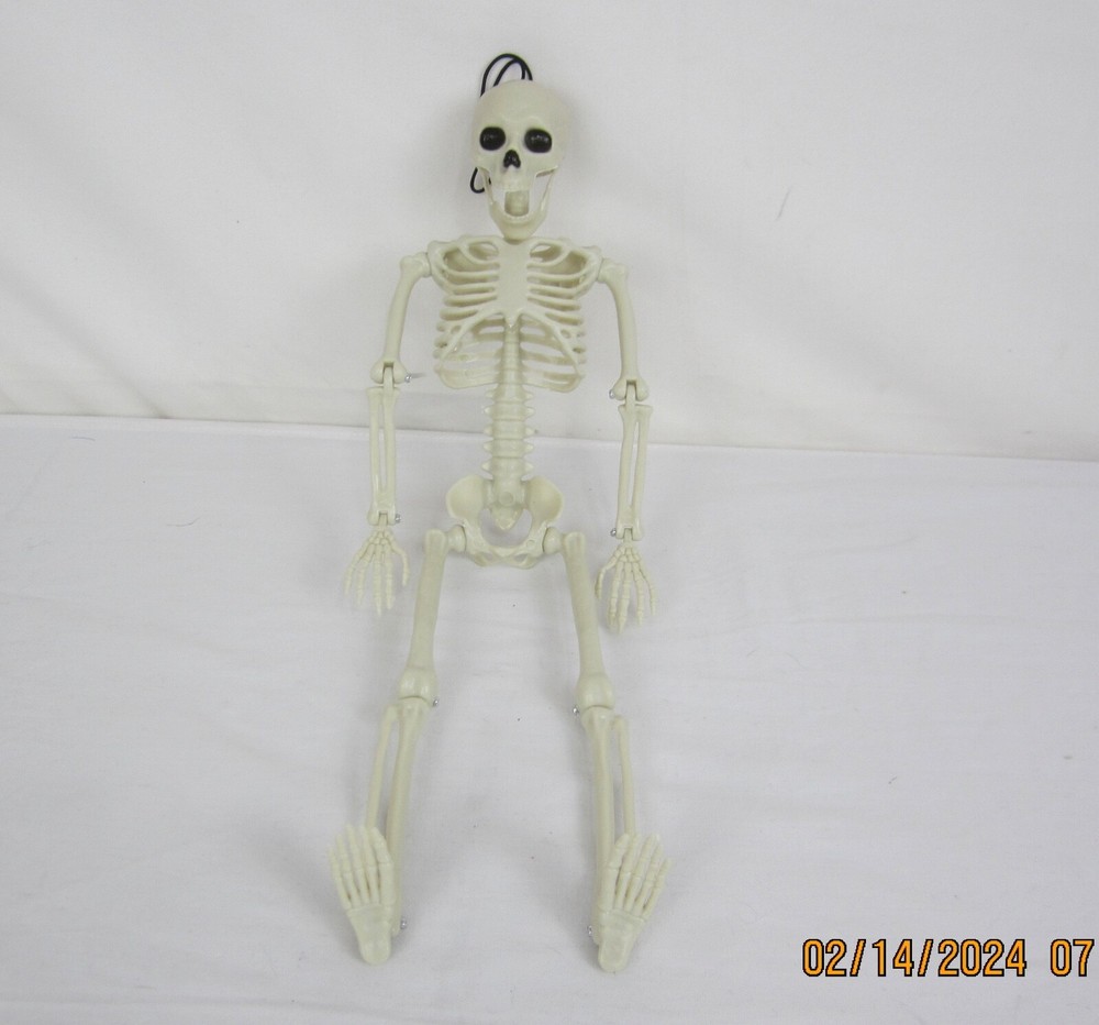 Halloween 14" Hanging Posable Skeleton