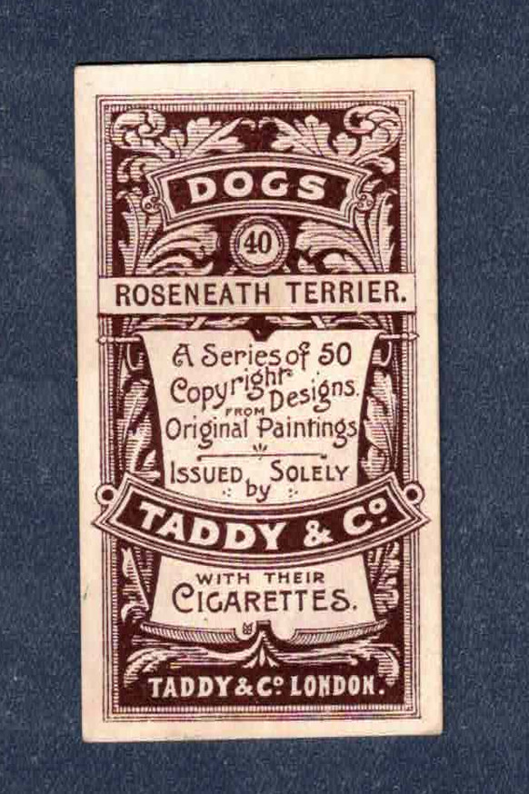 1900 Taddy & Co DOGS ROSENEATH TERRIER #40