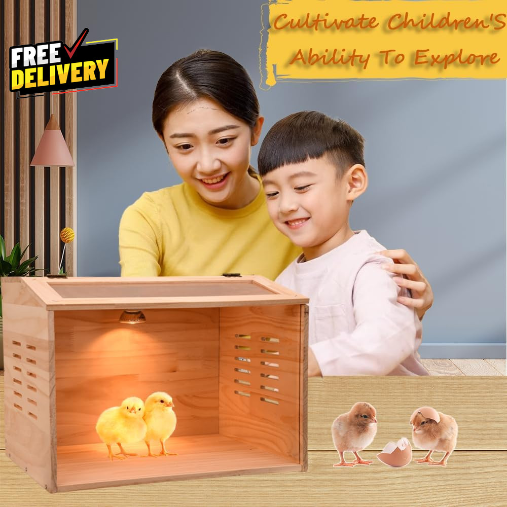 Brooder Box for Chicks 3-8 Chicken Heater Poultry Brooder with Heaters