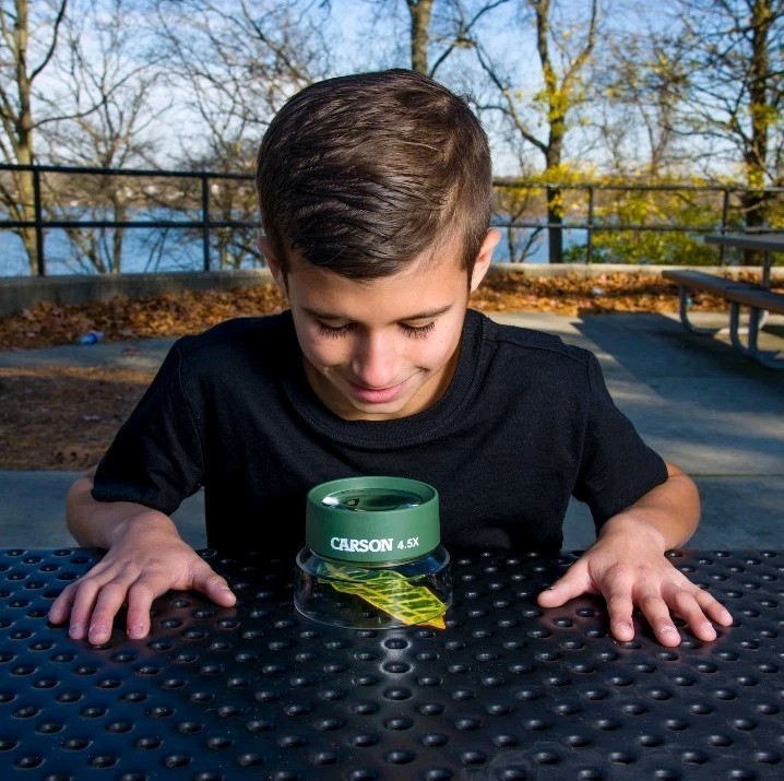 Carson BugLoupe 5x Stand Magnifier, Pre-focused - Outdoor Green HU-55