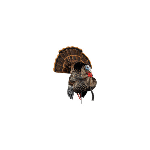 AvianX HDR Strutter Decoy