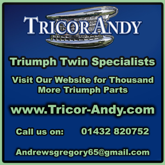 TRIUMPH CYLINDER HEAD BOLT STAINLESS 70-3795S