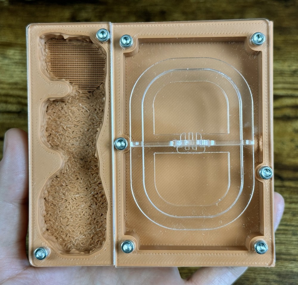 Ant farm "Eco"