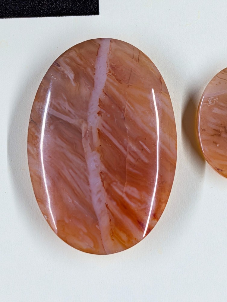 Oval Shape - Carnelian - Design-Ready Set
