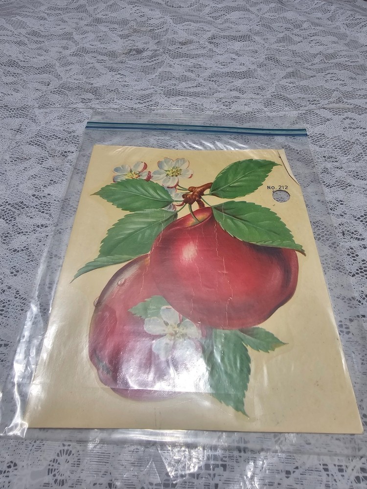 Vintage Eagle Decorative Decals Pattern Number 212