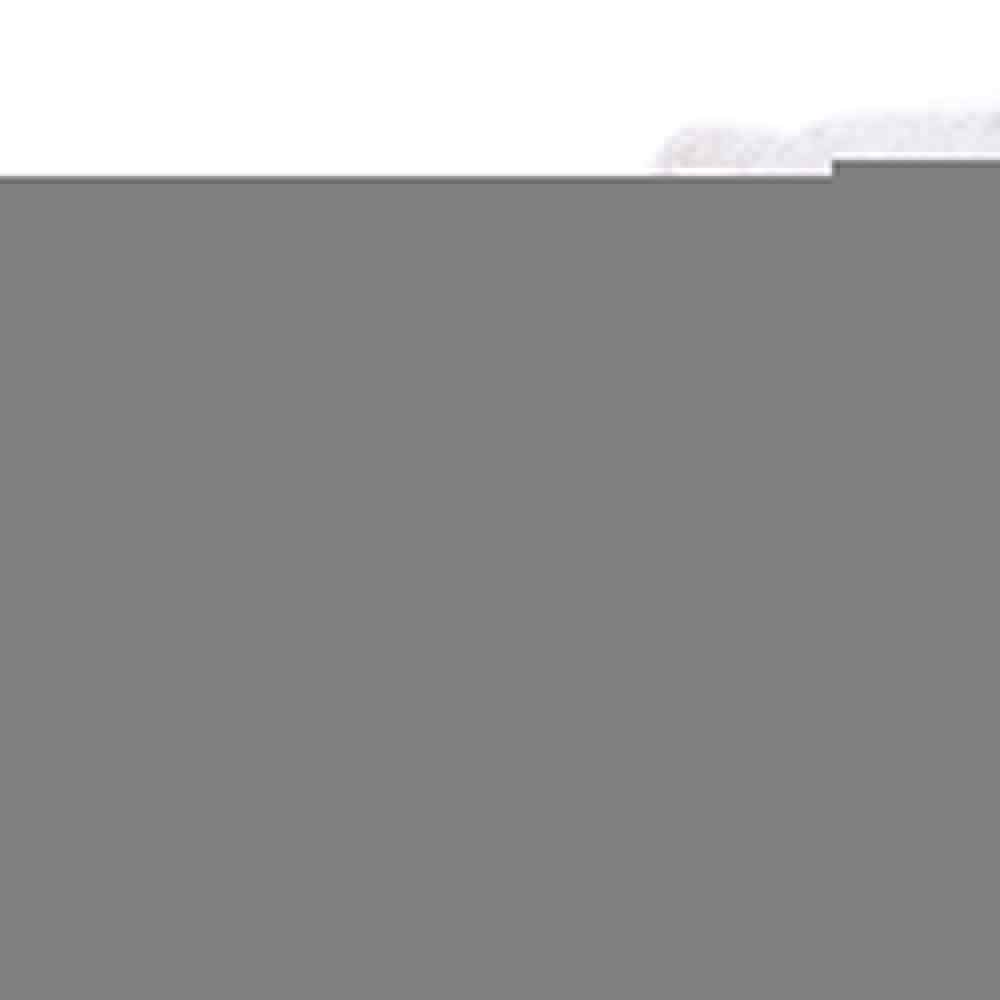 CHP 0.787" Medium Cutter Cutting Pliers NEW