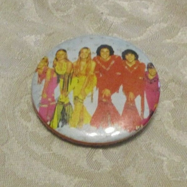 THE BRADY BUNCH BUTTON PIN
