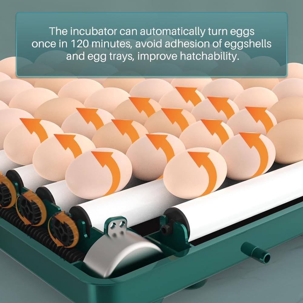 38 Egg Digital Poultry Hatcher Machine Automatic Egg Incubator