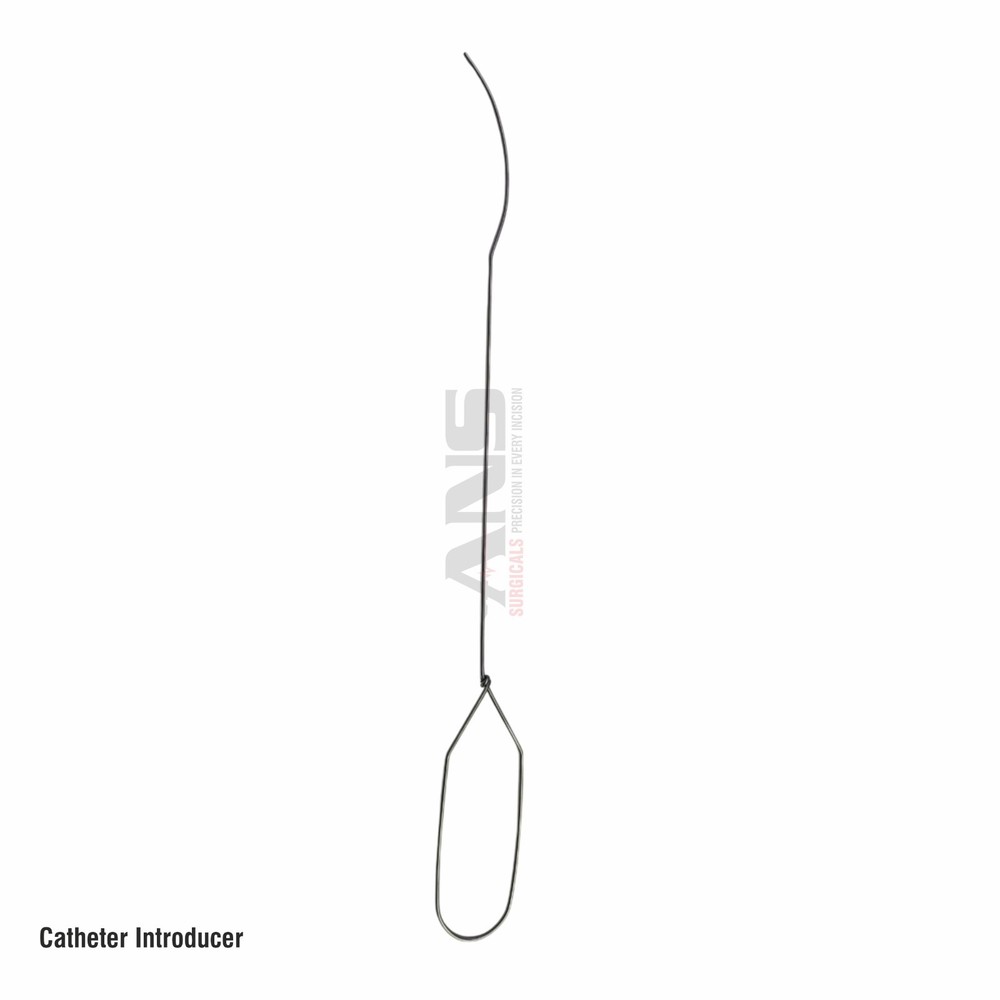 ANS Catheter Introducer