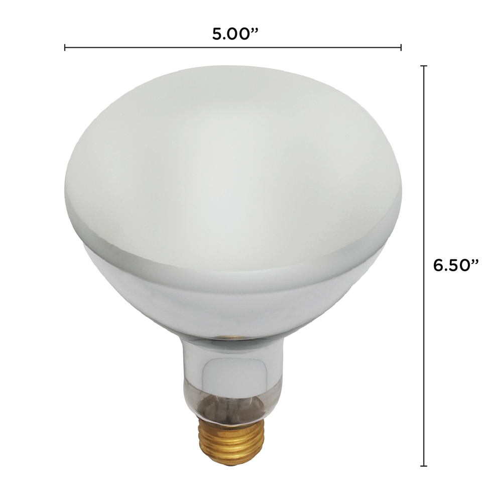 Satco S7007 500BR40FL POOL LIGHT 500W BR40 Frost Reflector Bulb Medium E26 Base