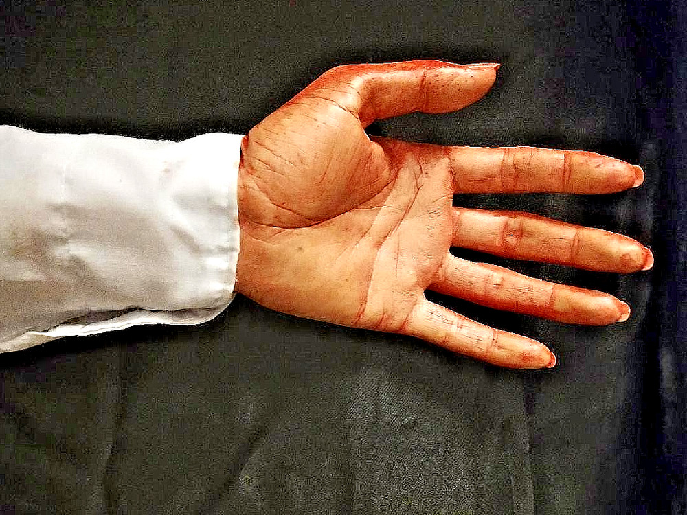Halloween Severed Arm Prop Decorations