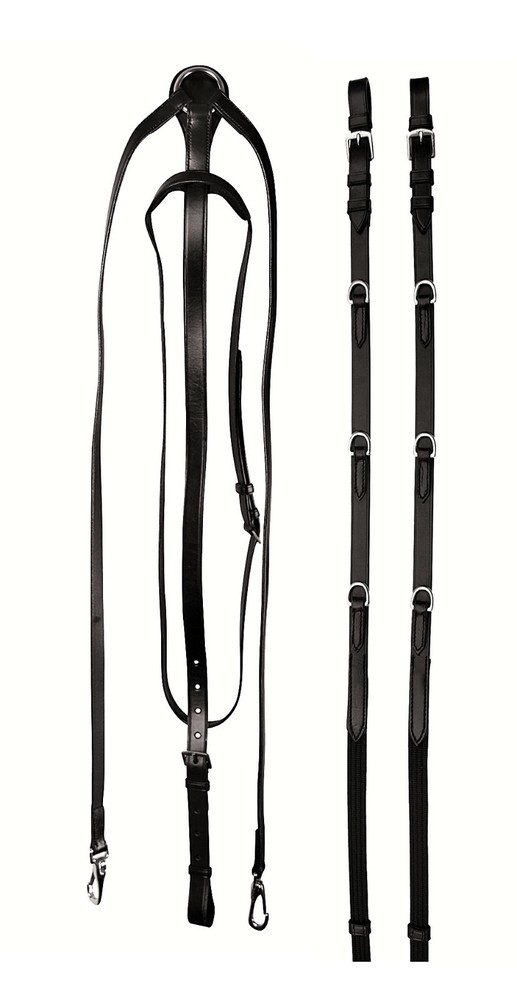 THIEDEMAN REINS SET