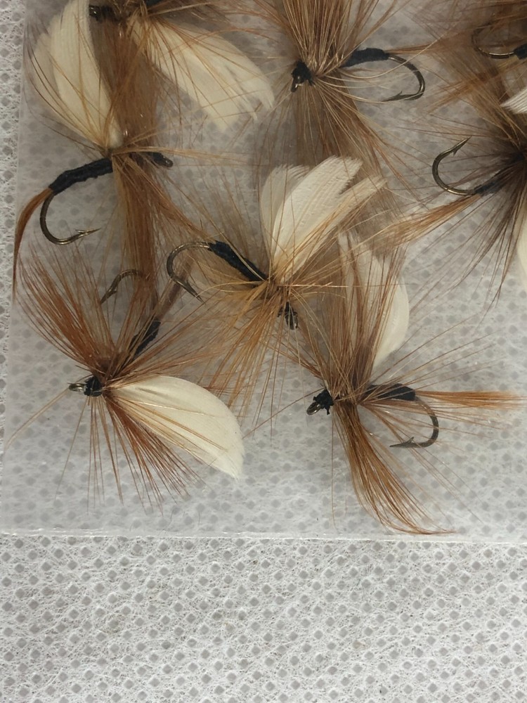 Captain #12 Dry Fly (12)