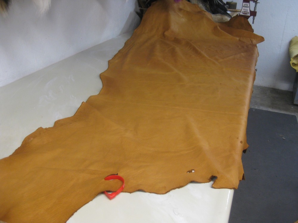 Cow Leather  # 0016421 Row75