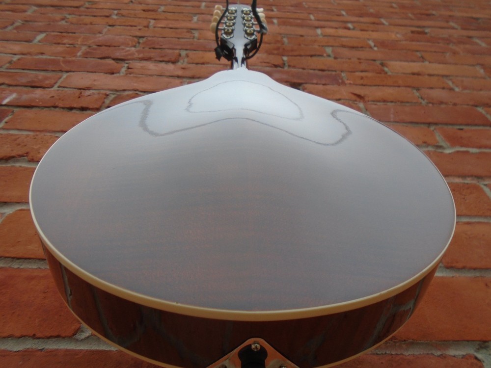 Kentucky MD256 mandolin w/bag & Neotech strap